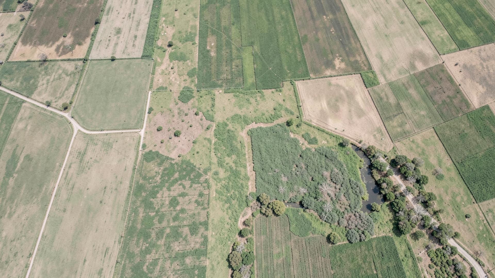 Vista aérea de propriedades rurais no Mato Grosso com áreas de cultivo e vegetação preservada